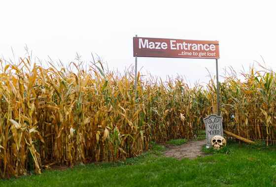 Churchfeilds Spooky Maze