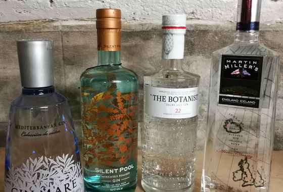St Johns Gin Tastes