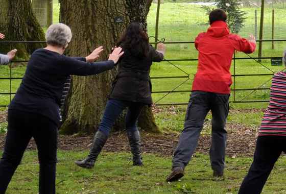 tai chi.jpg